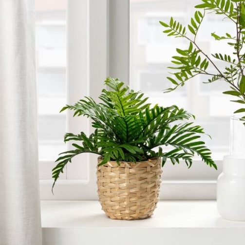 IKEA-FEJKA-Whitley-Giant-Artificial-Potted-Plant-9-cm